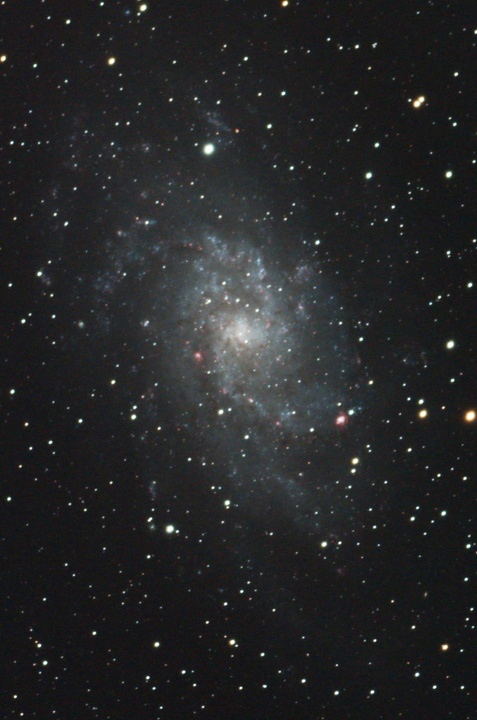 M33