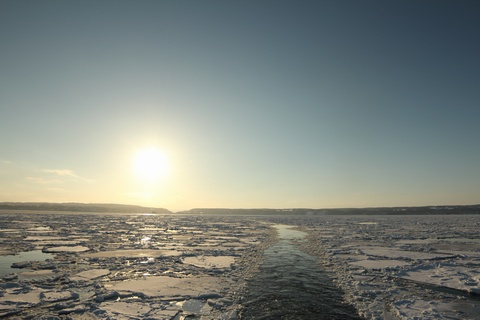 太陽と流氷