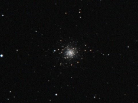 M79