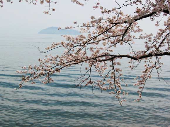 non滋賀