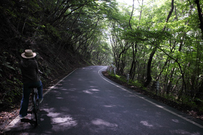 自転車