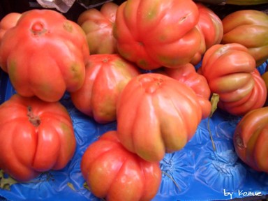 i pomodori