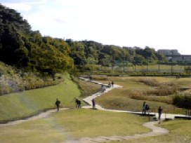 引地川親水公園