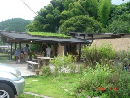 屋根に花壇がある店