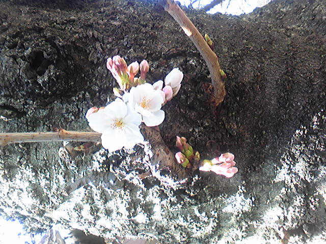 150325_121421.jpg
