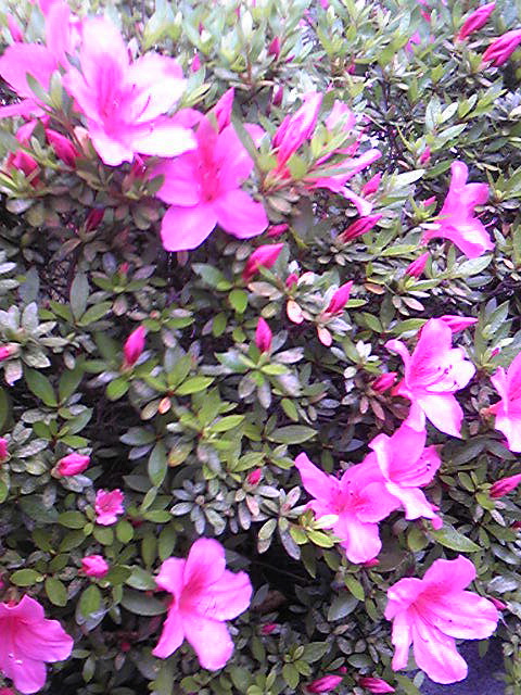 Image20150529.jpg