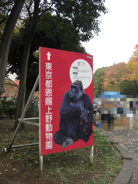 上野1