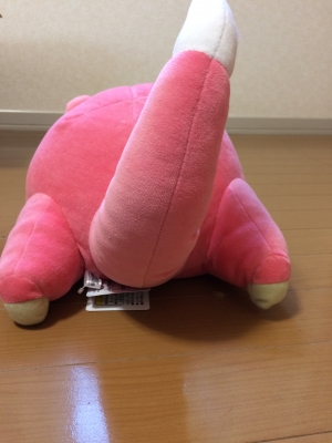 ヤドン5