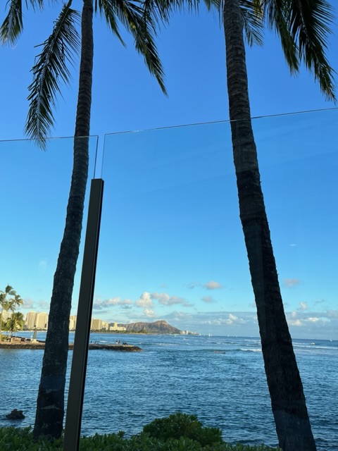 ハワイの夜('53新東宝) Amazon.co.jp: 新東宝映画傑作選 ハワイの夜 [DVD] : 鶴田浩二: DVD