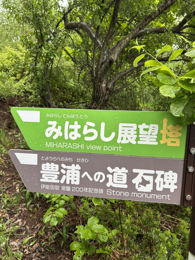 北海道 雨の中、洞爺湖から大沼公園に向かう | ちいの人生まるごと
