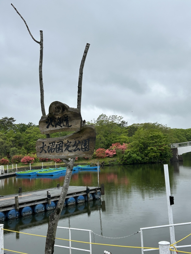 北海道 雨の中、洞爺湖から大沼公園に向かう | ちいの人生まるごと