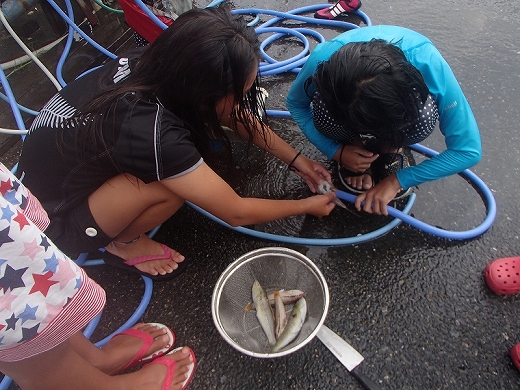 P8036731.jpg