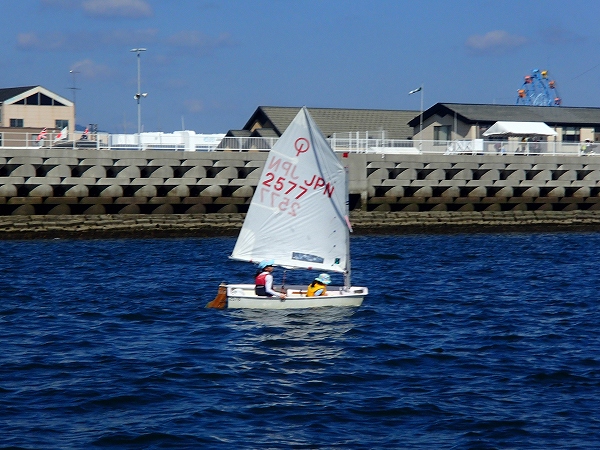 P9072726.jpg