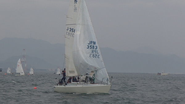 P4242666.jpg