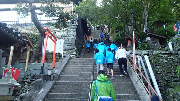 P4302694.jpg