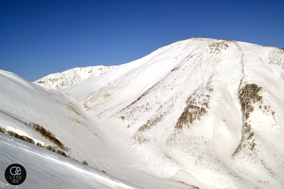 DSC_2065.jpg