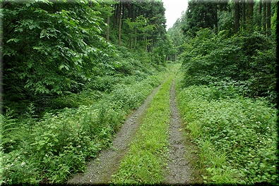 北陸本線