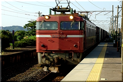EF81729