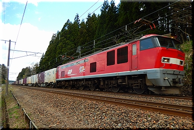 信越本線 RED THUNDER