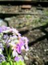 2009030201330000.jpg