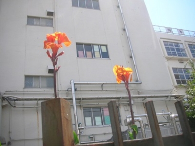 jugemDSCN8117.jpg