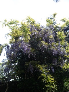 110506_141823.jpg