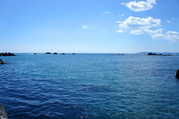 DSC03191.jpg