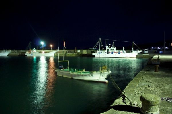 DSC03169.jpg