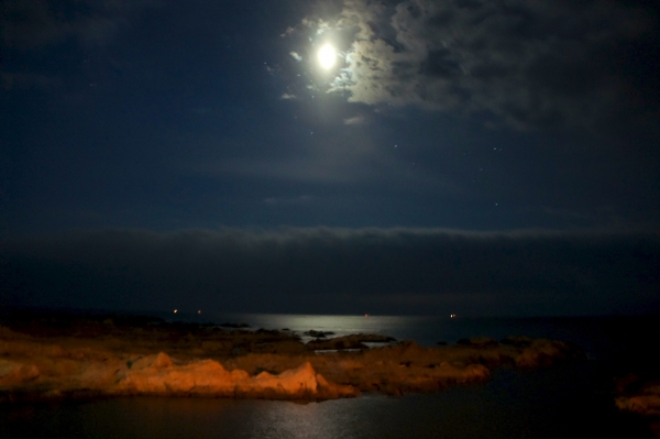 DSC03165.jpg