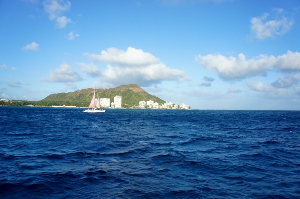 DSC03924.jpg