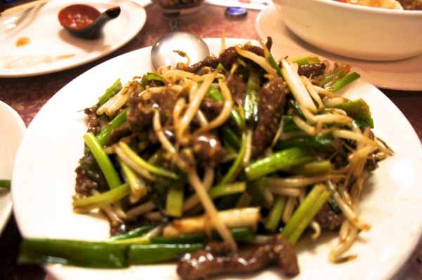 DSC03837.jpg