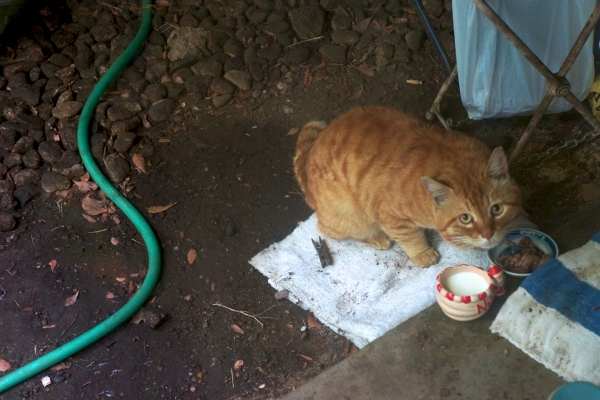 DSC00021.jpg