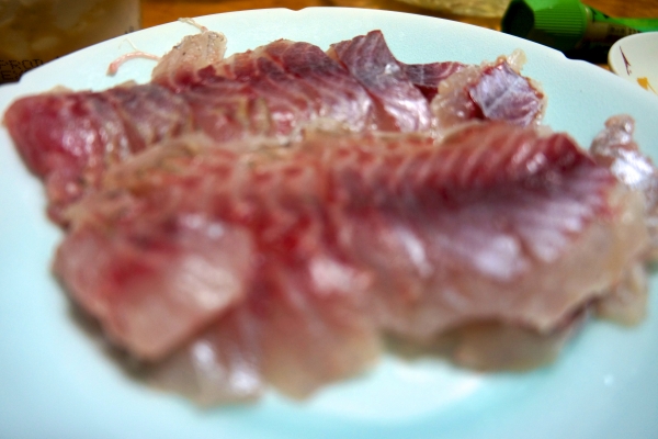 DSC00279.jpg