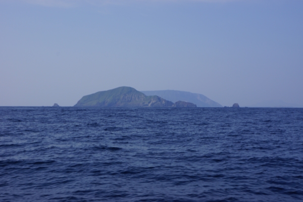 DSC00260.jpg