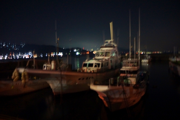 DSC00218.jpg