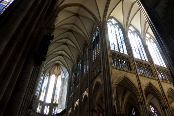 DSC00504.jpg