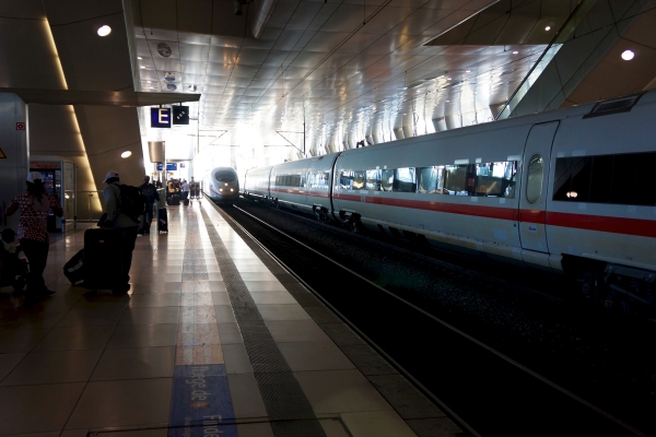 DSC00491.jpg