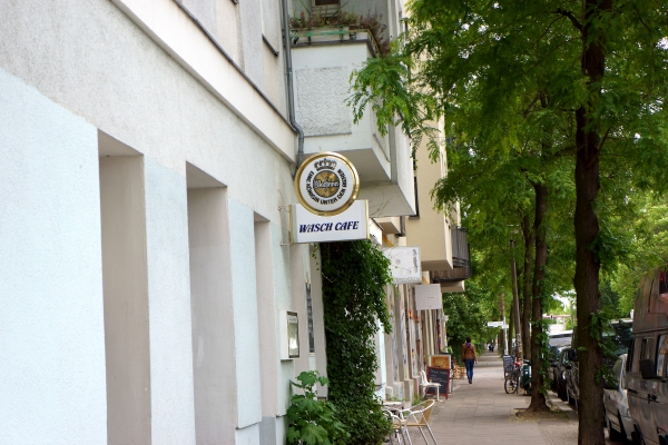 DSC00981.jpg