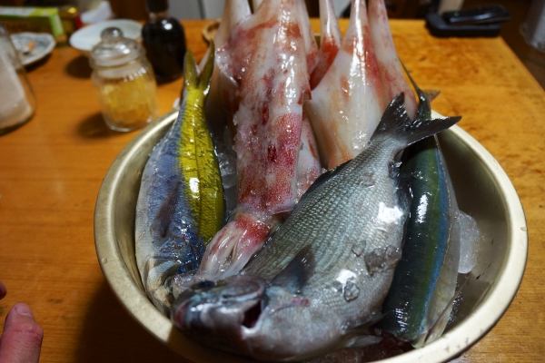 DSC01875.jpg