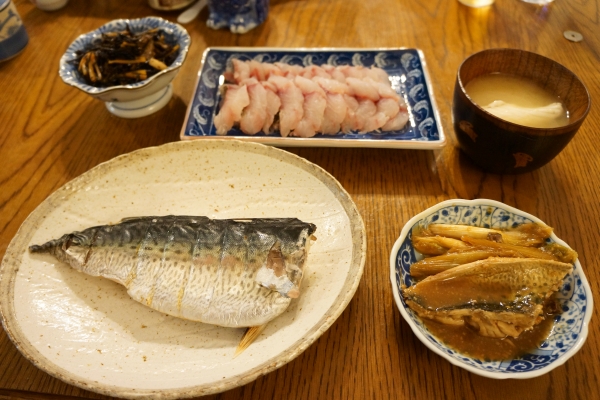 DSC01885.jpg