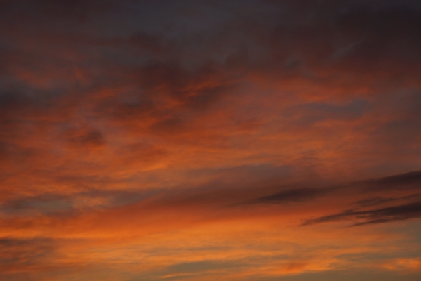 DSC02024.jpg