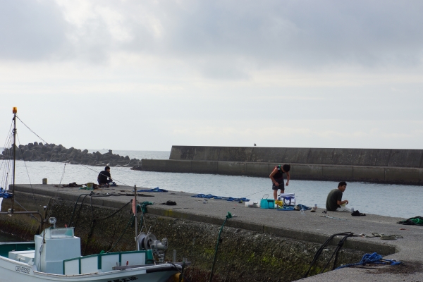 DSC02147.jpg