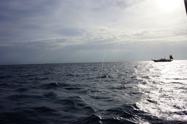 DSC02387.jpg
