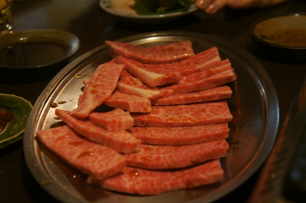 DSC01609.jpg