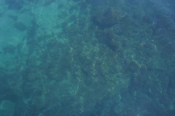 DSC03556.jpg