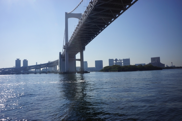 DSC03535.jpg