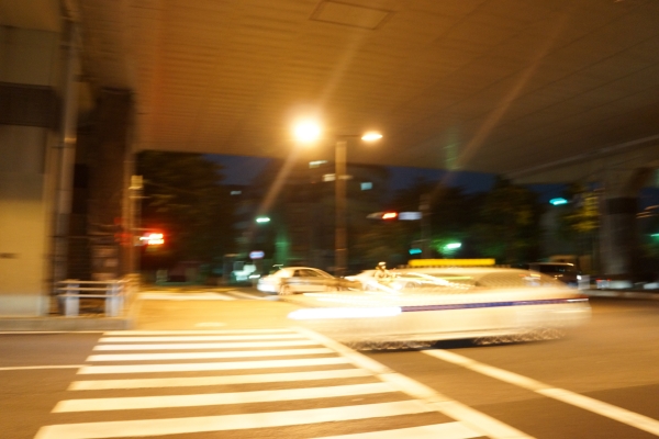 DSC03661.jpg