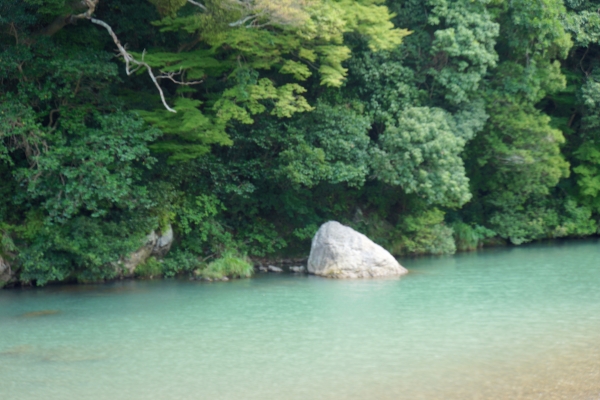 DSC03707.jpg