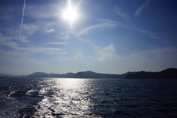 DSC03737.jpg