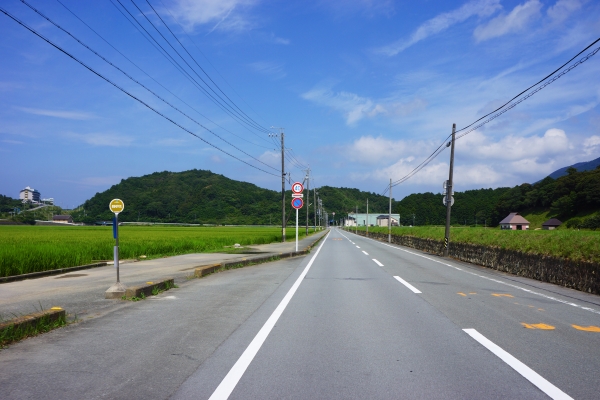 DSC03722.jpg
